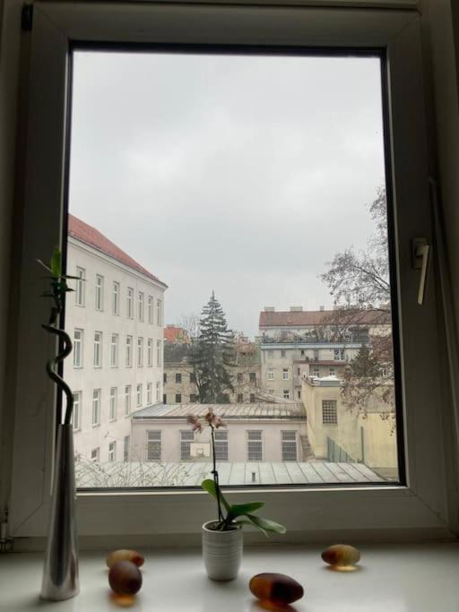 Apartament Stilvolle Am Yppenplatz